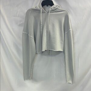 ALO Yoga Light Gray Cropped Hoodie